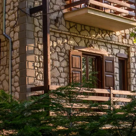 Guest house 4 Epohes Elati (Trikala)